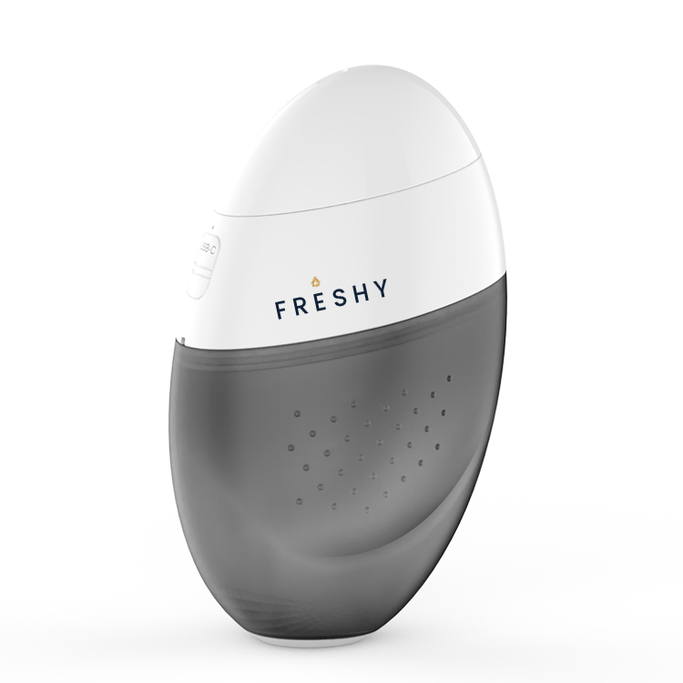 Bidet électrique portable FRESHY, blanc et gris, format compact